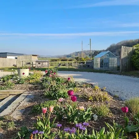 Villa Les Tamaris, Face A La Mer, Emplacement Privilegie Veulettes-sur-Mer