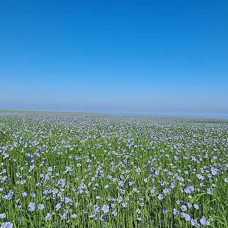 Les Tamaris, Face à La Mer, Emplacement Privilégié Veulettes-sur-Mer