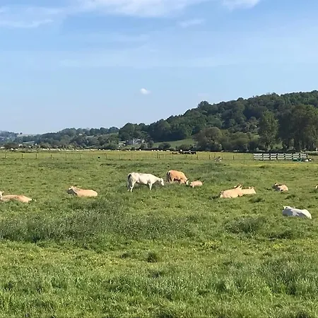 Les Tamaris, Face à La Mer, Emplacement Privilégié Villa