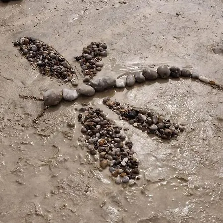 Villa Les Tamaris, Face à La Mer, Emplacement Privilégié *