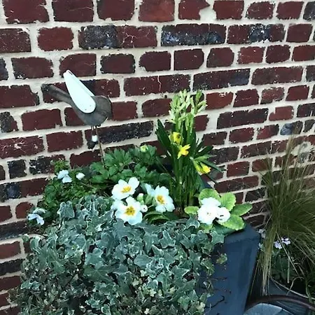 Villa Les Tamaris, Face à La Mer, Emplacement Privilégié *