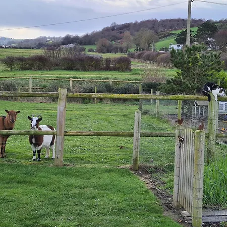 Villa Les Tamaris, Face à La Mer, Emplacement Privilégié